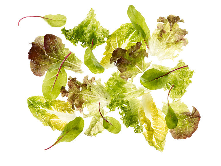 Mischsalat "Babyleaf"